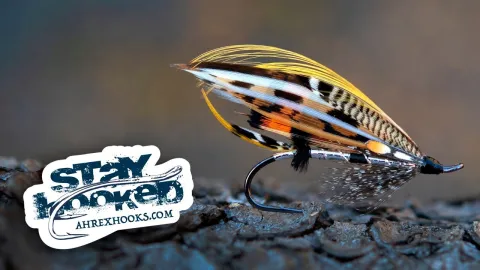 Video thumb for Mar Lodge