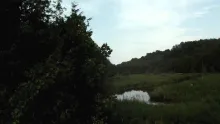 Video thumb for Fly Fishing - My First Video